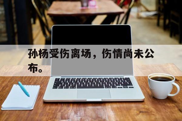 IM电竞app真人娱乐-孙杨受伤离场，伤情尚未公布。